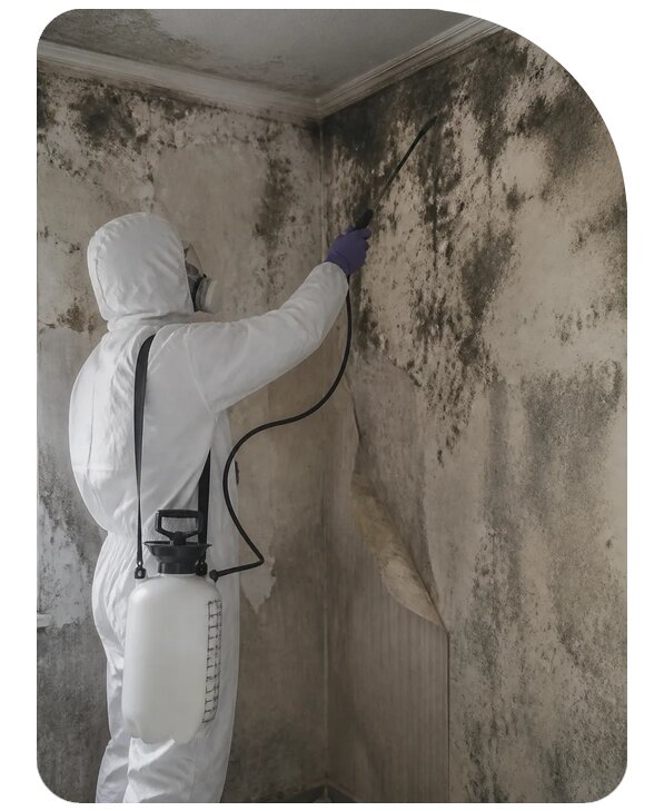 Дезинфекция от грибка и плесени в Кирове-Чепецке по цене от 4350 р. | Сенат-Крв